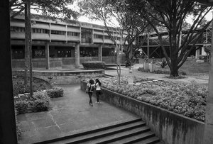 phoca_thumb_l_faculdadedireito_campusdarcyribeiro (1)